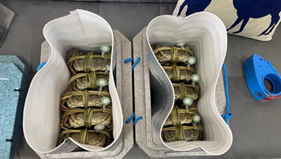 大闸蟹打包发货